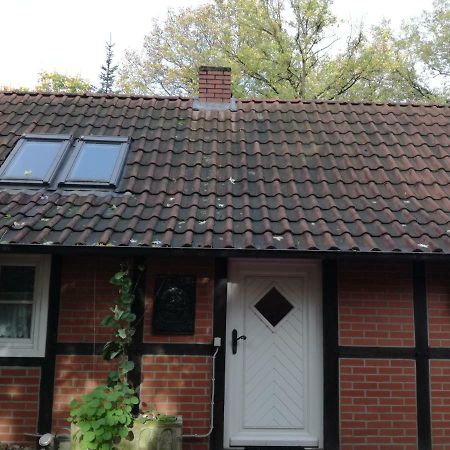 Ferienhaus In Rumke Bippen Exterior foto