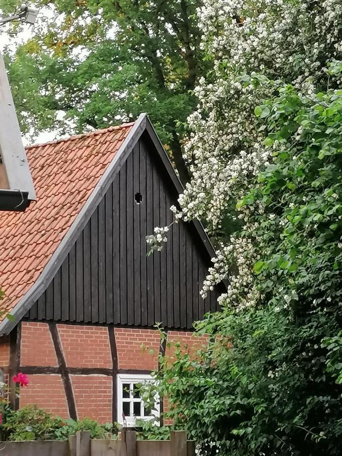 Ferienhaus In Rumke Bippen Exterior foto